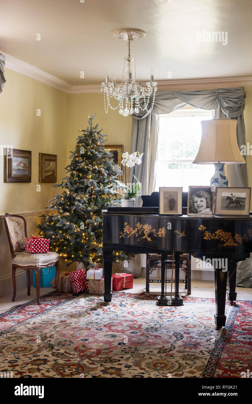 Music room with frosted mountain Spruce artificial Christmas tree and grand piano bought at auction Stock Photo