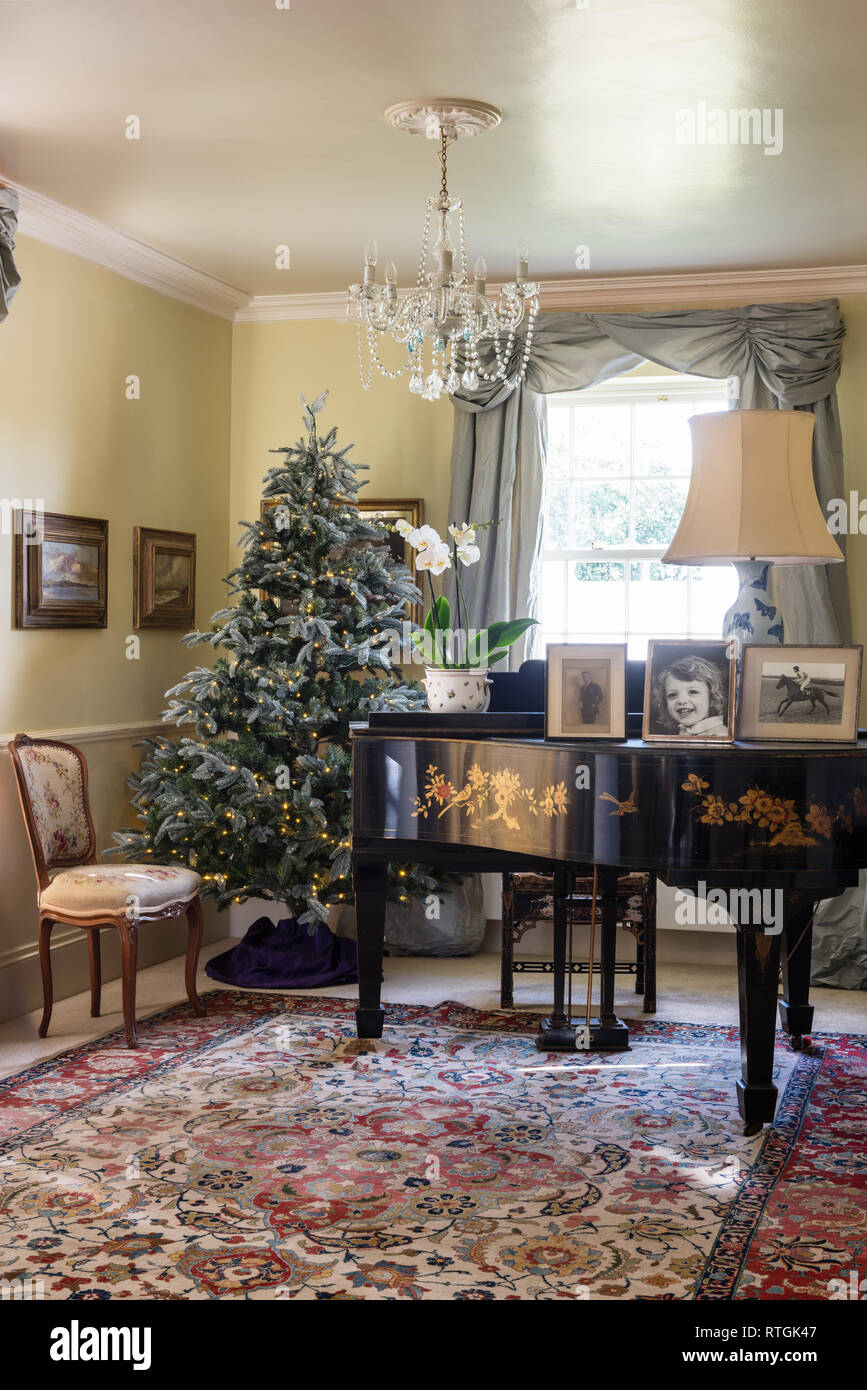 Music room with Frosted Mountain Spruce artificial Christmas tree and grand piano bought at auction Stock Photo