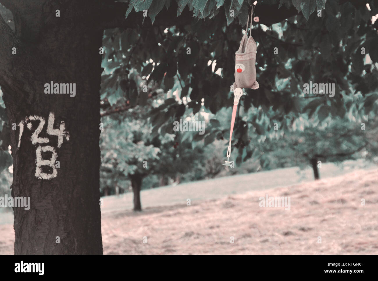 Lets Hang Out Stock Photo Alamy