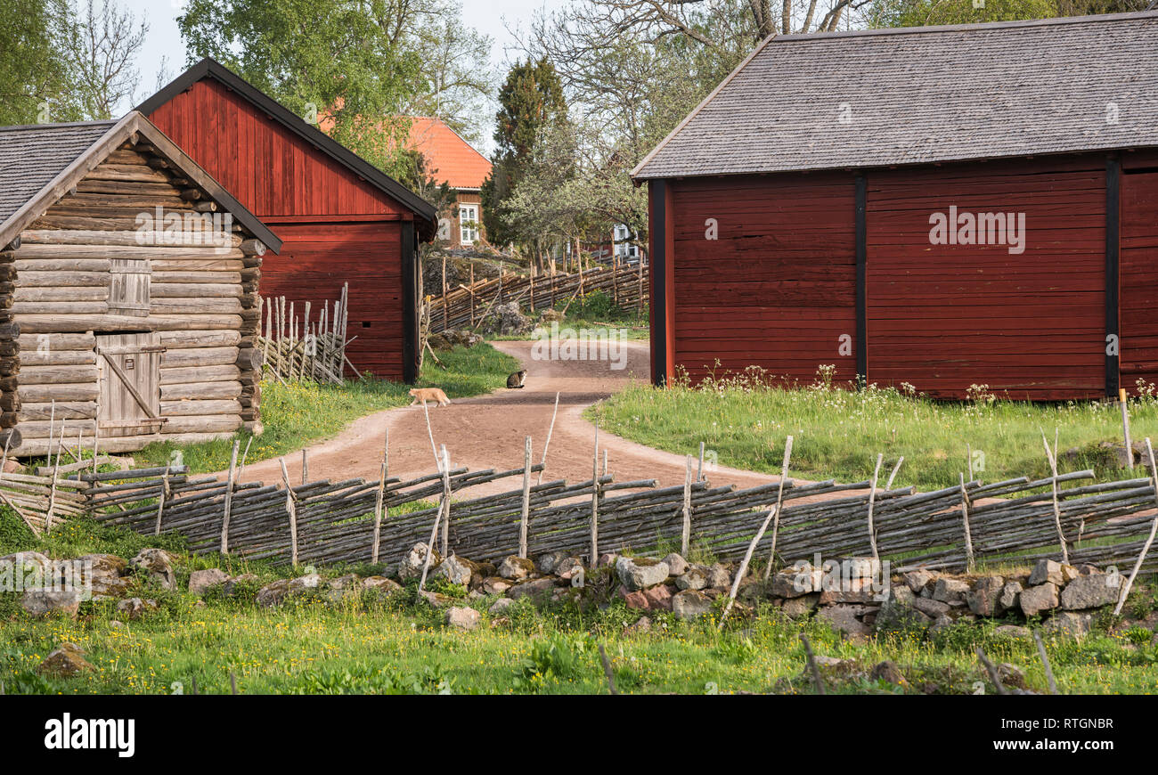 Two cats at a country road with an old farm house and traditional roundpole fence in  the rural  village of Stensjo in Smaland, Sweden, Scandinavia Stock Photo