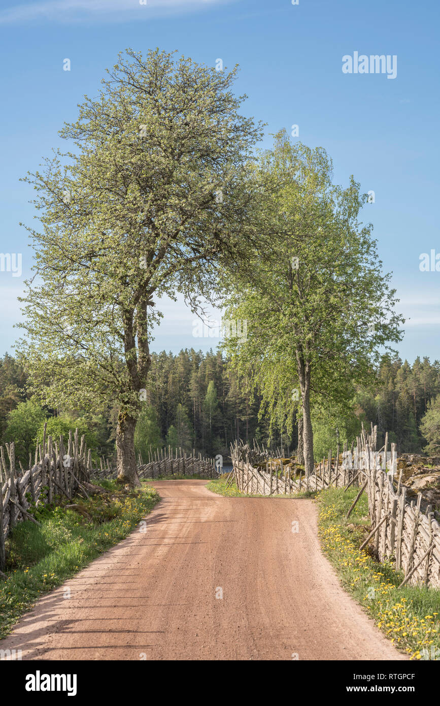 Road With Tree And Fences High Resolution Stock Photography and Images ...