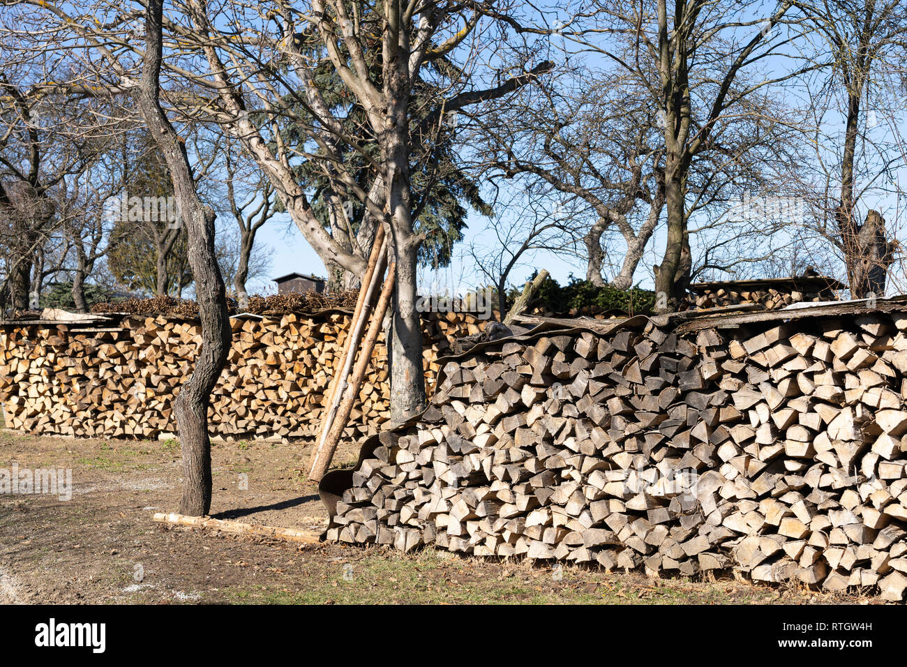 Stacked chopped firewood and kindling for domestic use during winter time in Lower Austria Stock Photo