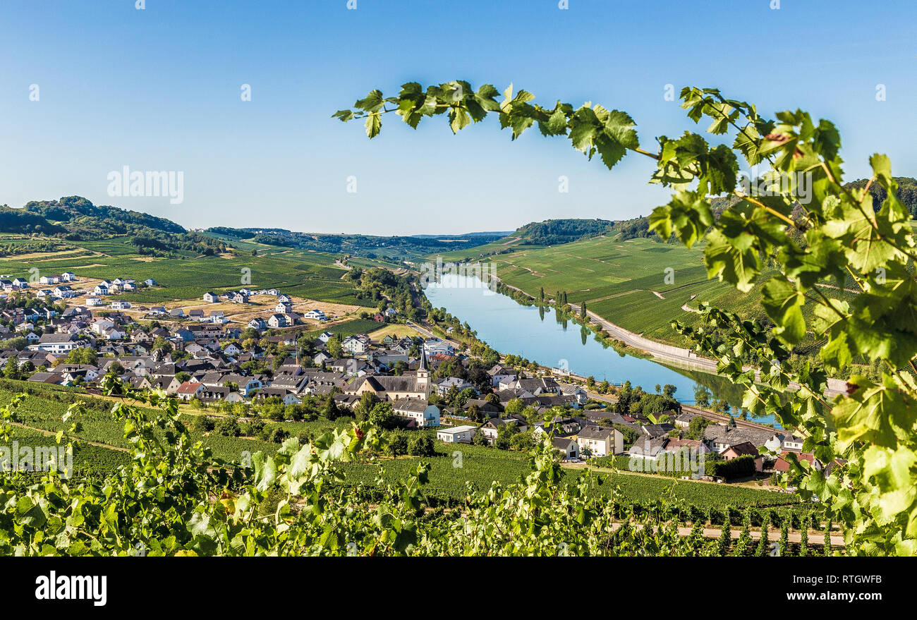 Nittel on the Moselle Rhineland-Palatinate Germany. Stock Photo