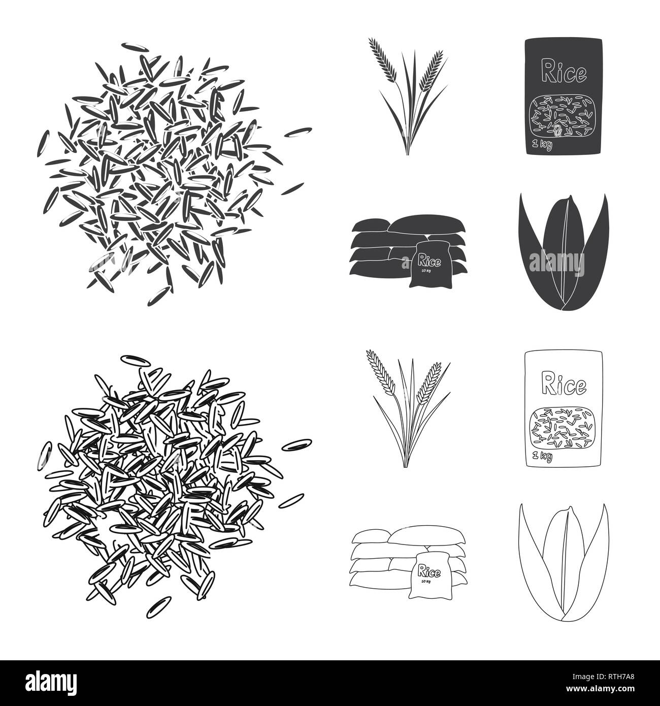 Panicle rice plant Black and White Stock Photos & Images - Alamy