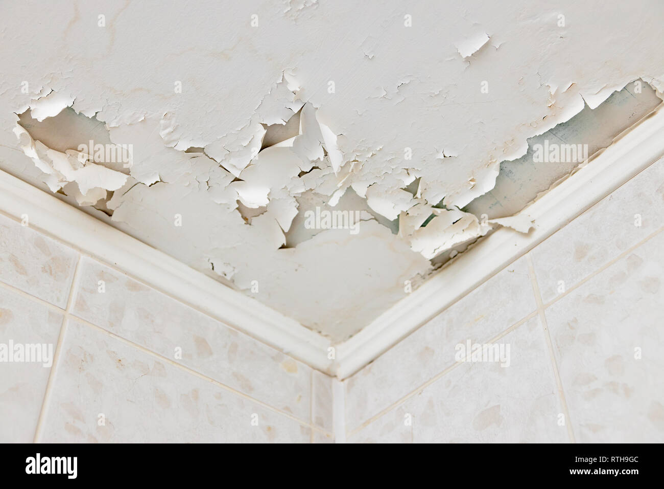 Swelling leaking of whitewash and plaster on ceiling of dwelling due to  penetration of water from the top floor or roof Stock Photo - Alamy