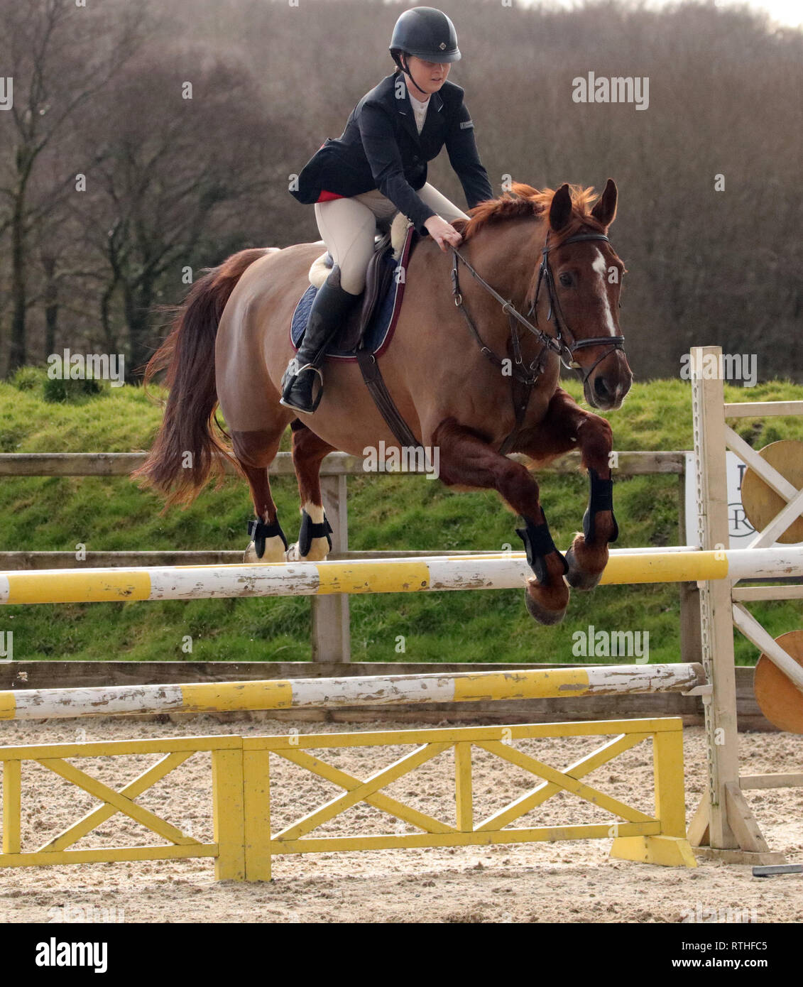 Beacons Equestrian Show Jumping 24.02.19 Stock Photo Alamy