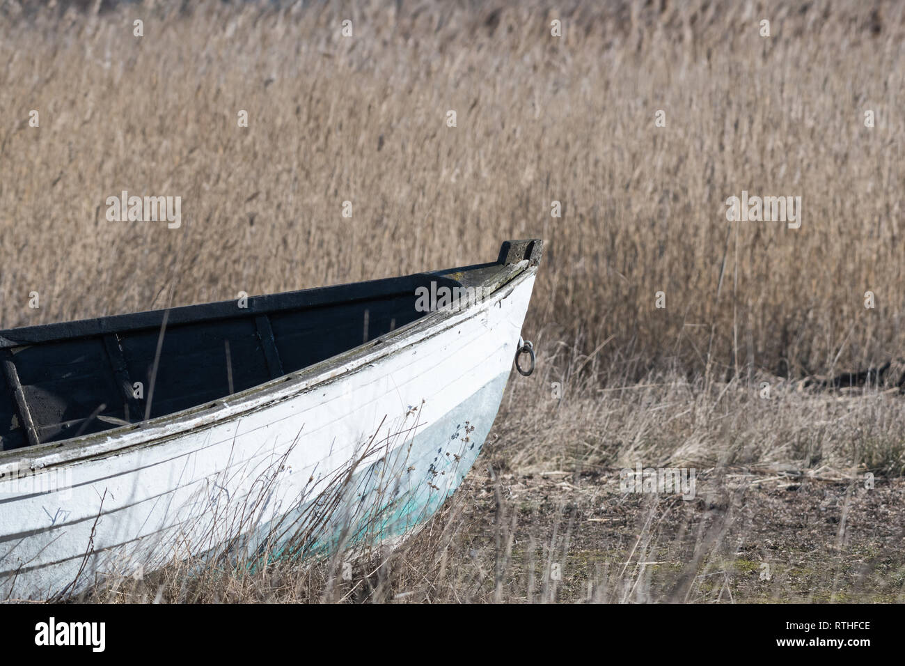 Front view of an old abandoned wooden fishing boat in the reeds Stock ...
