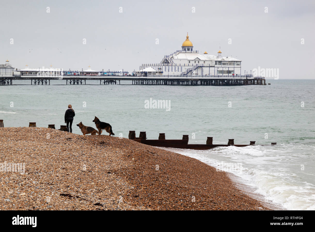 Eastbourne Pier with dog walker on the shingle beach, Eastbourne, East