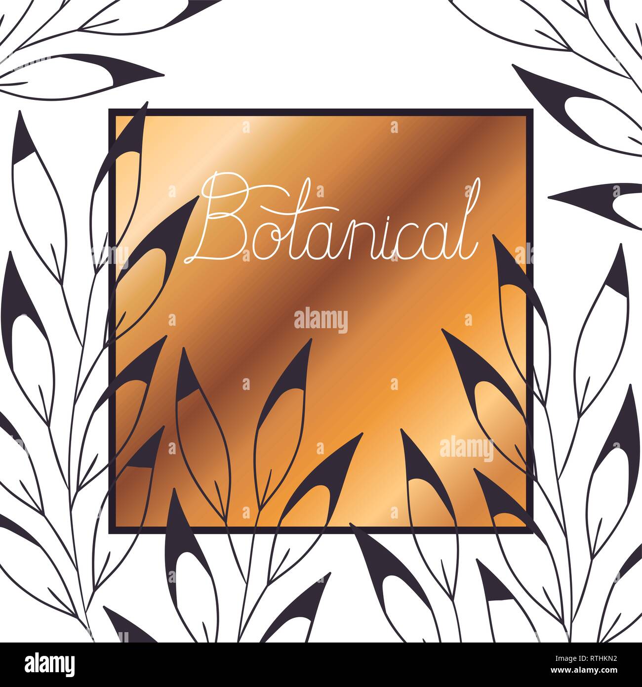 botanical label with plants isolated icon Stock Vector Image & Art - Alamy