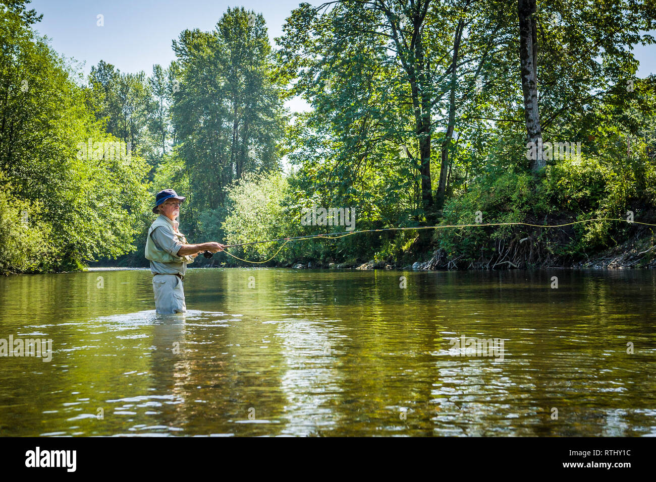 A 70 year old man fly fishing in the Cedar River, Western Washington, USA. Stock Photo