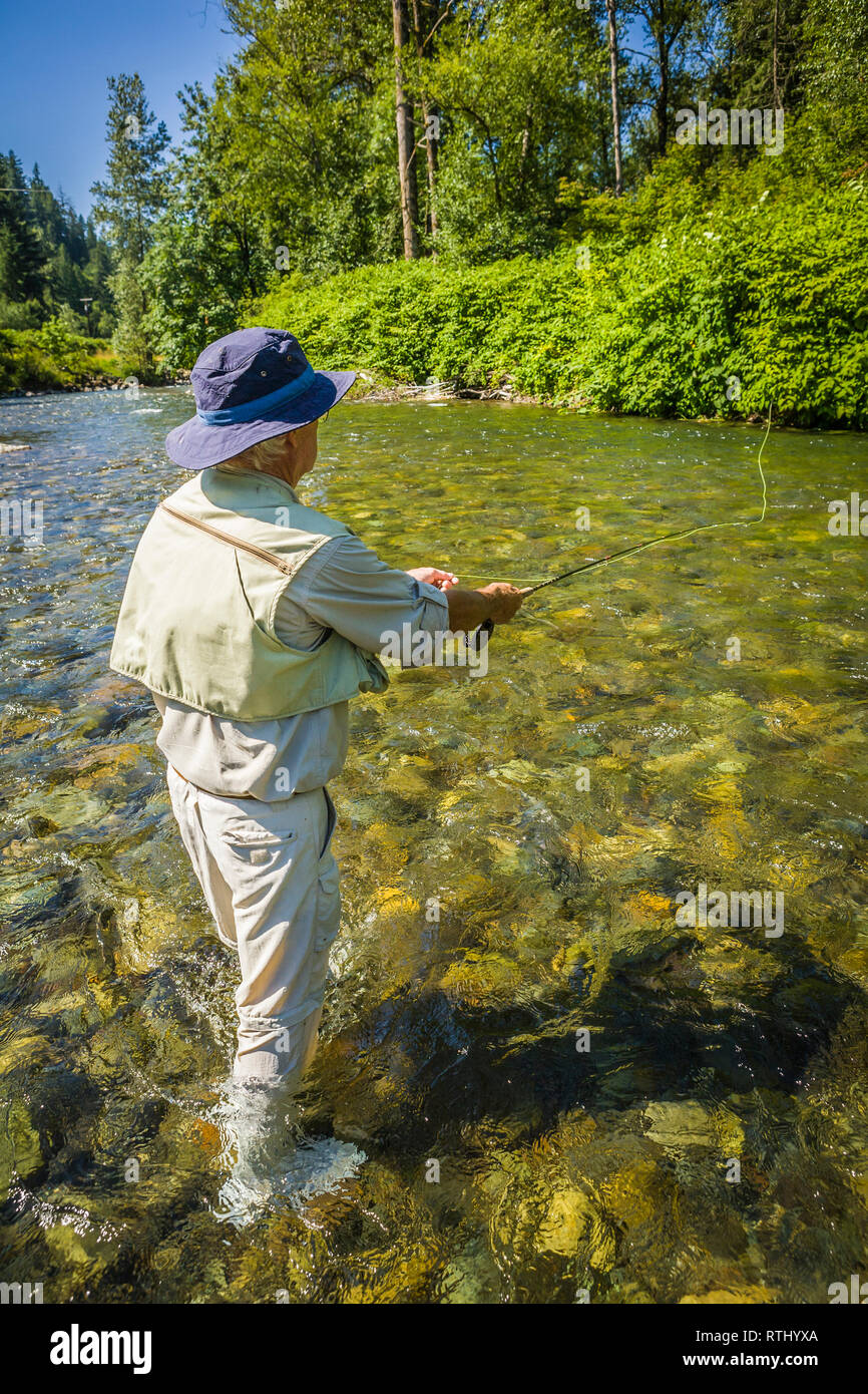 A 70 year old man fly fishing in the Cedar River, Western Washington, USA. Stock Photo