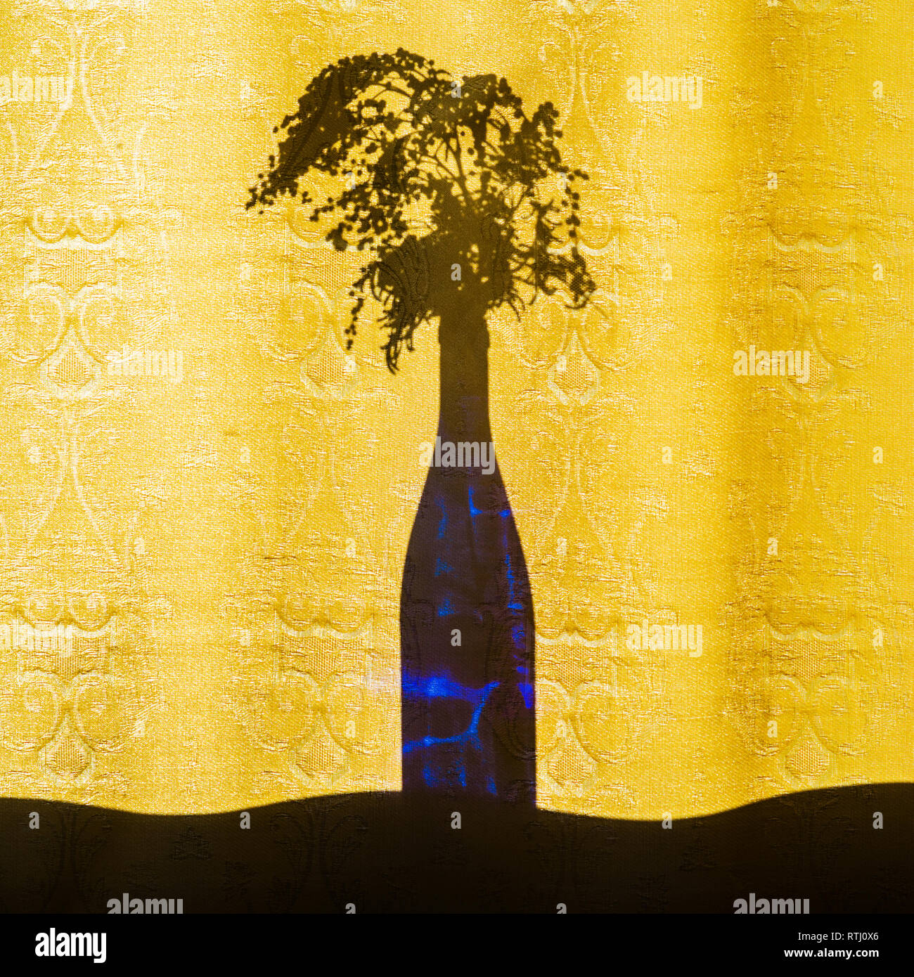 Mimosa tree art hires stock photography and images Alamy