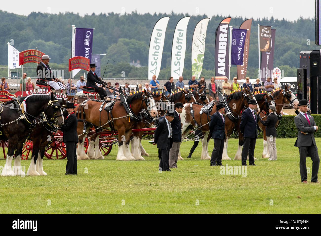 Harrogate Races Harrogate, North Yorkshire, UK - July 12th, 2018: Heavy Horses Turnout ...