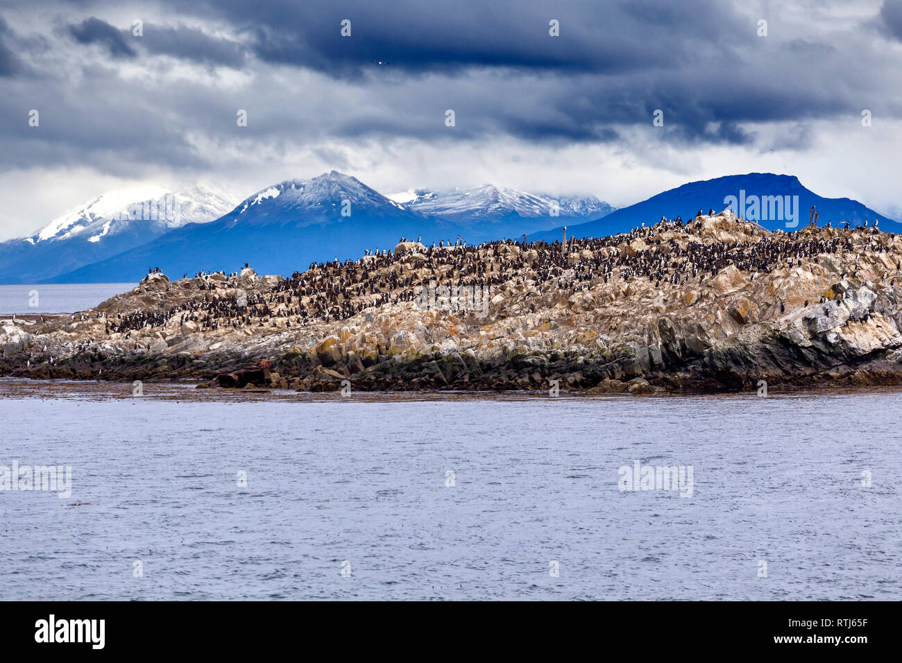 Beagle channel, Tierra del Fuego National park, Tierra del Fuego, Antartida e Islas del Atlantico Sur, Argentina Stock Photo