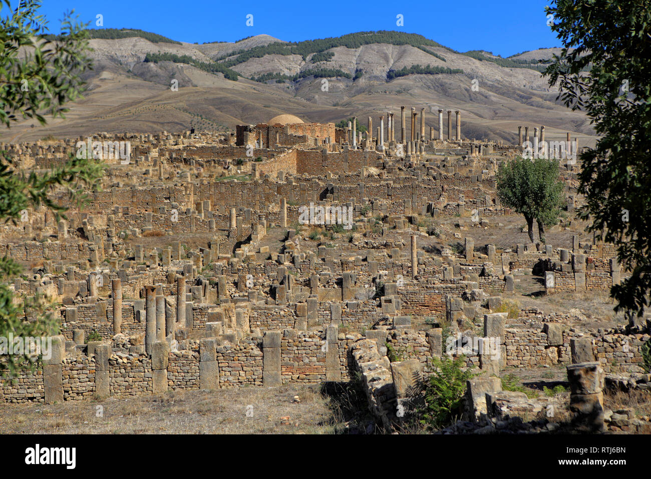 Ruins of ancient city Cuicul, Djemila, Setif Province, Algeria Stock Photo