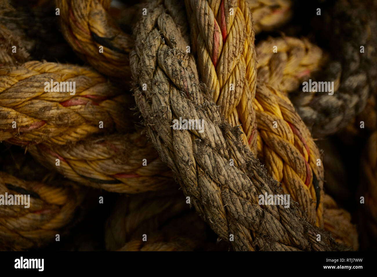 Pliated Rope Fibre to premise hi-res stock photography and images - Alamy