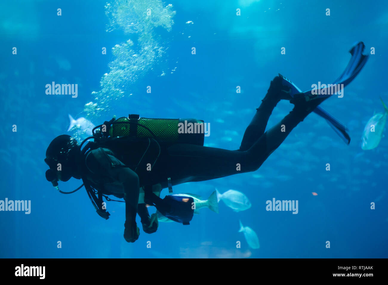 Diver diving with a scuba set in the sea. Stock Photo