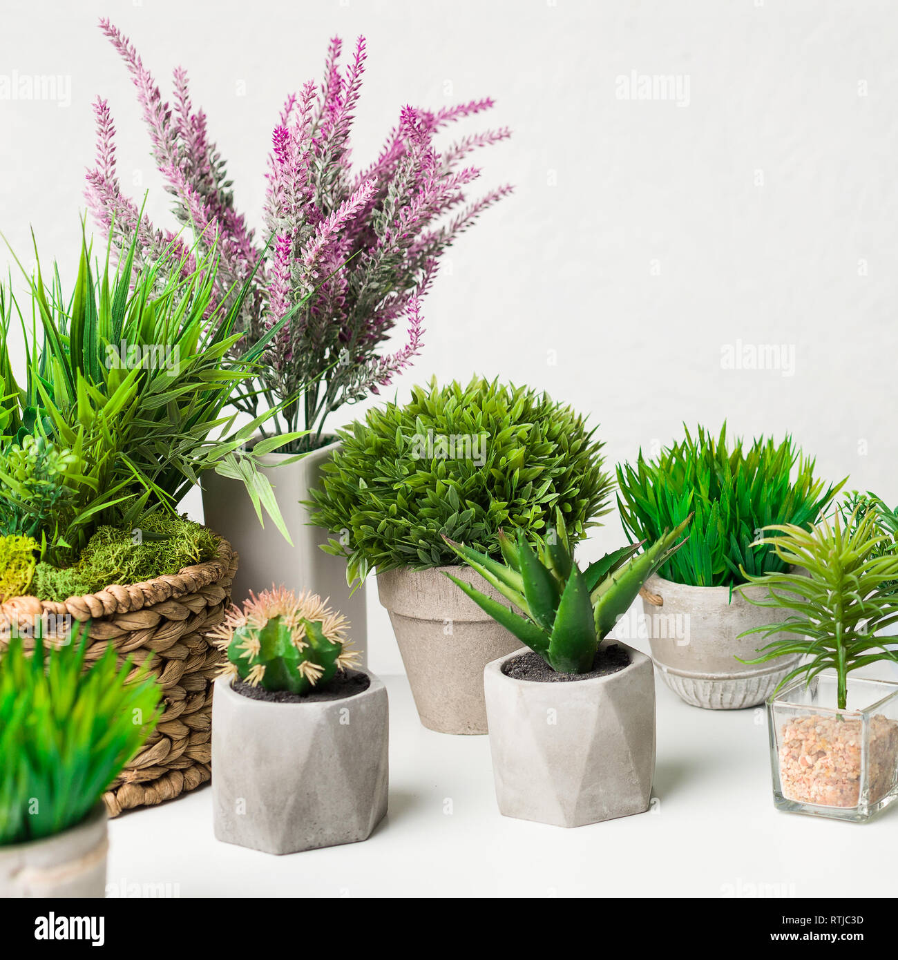 Artificial houseplants in different pots over white wall, crop Stock