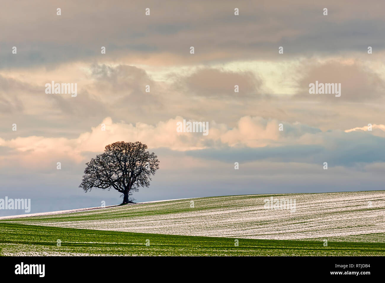Copyspace available in the minimalist landscape of a agricultural hillside under cloudy winter skies and had laid a dusting of snow on field and a lon Stock Photo
