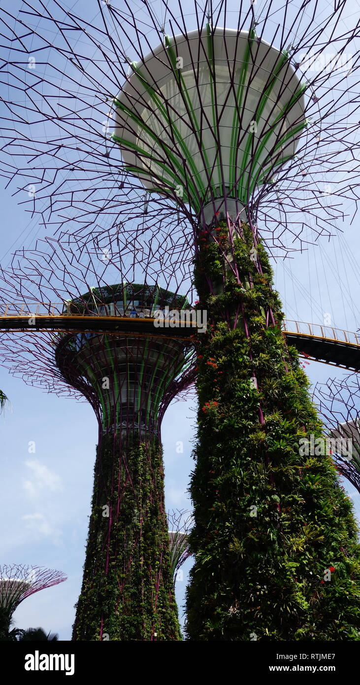 Singapore Stock Photo