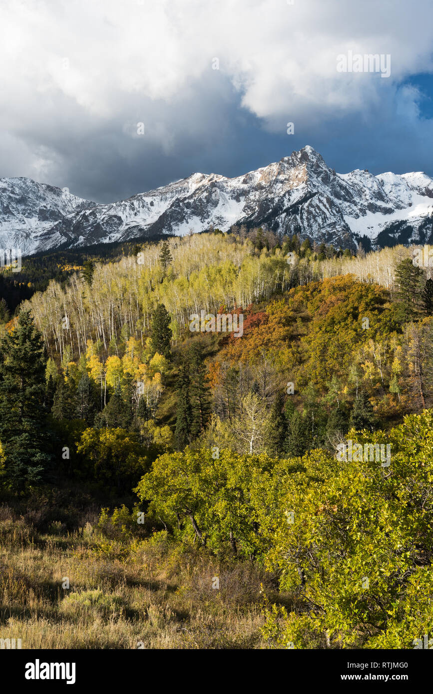 Mount Sneffels Mountain Range with a fresh early autumn snow. Aspen, Pine and Scrub Oak add to the colorful foreground. Stock Photo