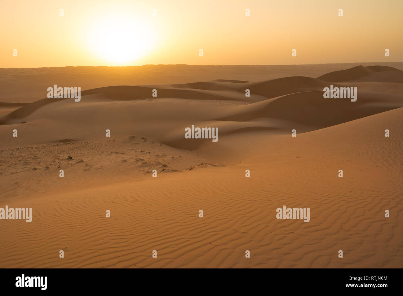 Dunes of the Wahiba Sand Desert at dawn (Oman) Stock Photo