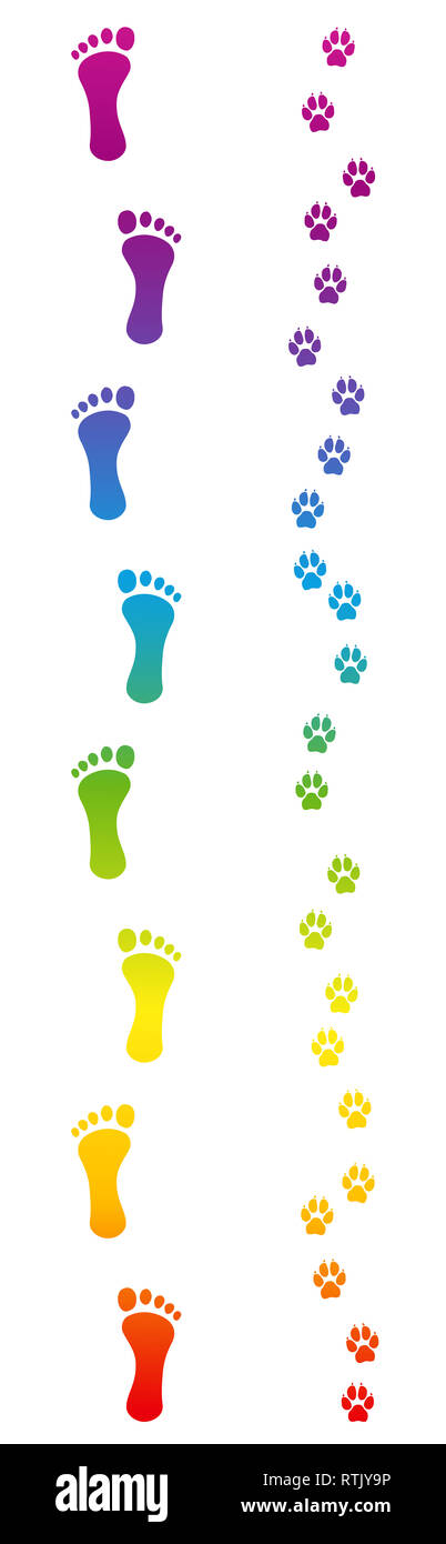 Footprints of dog and barefoot human master going for a walk. Rainbow colored footsteps - illustration on white background. Stock Photo