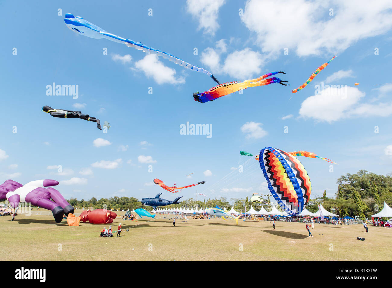 Johor Bahru, Malaysia. 1st Mar, 2019. Various kites fly in the sky