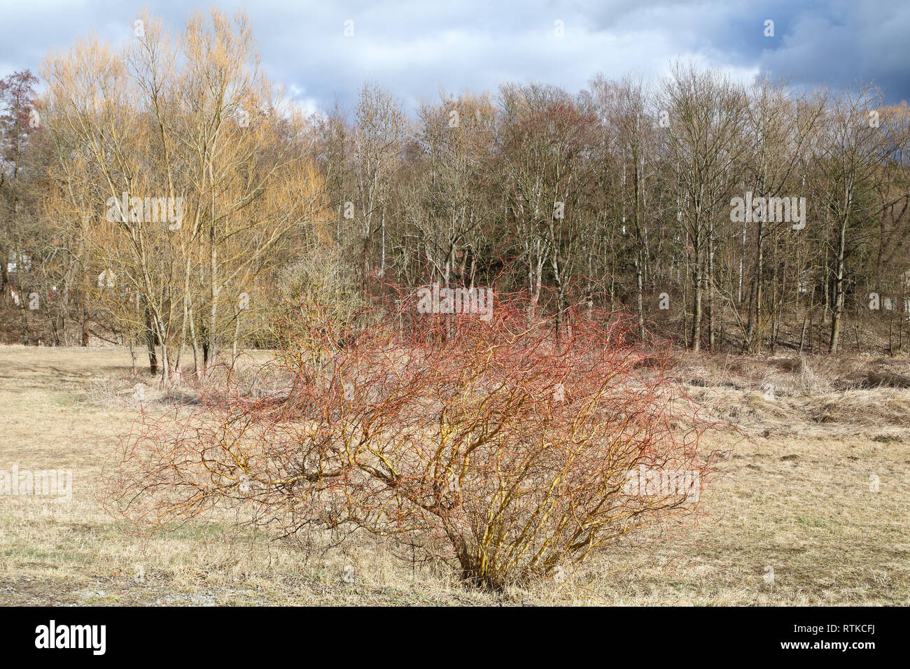 First meteorological spring day on northern hemisphere in Central Europe Stock Photo