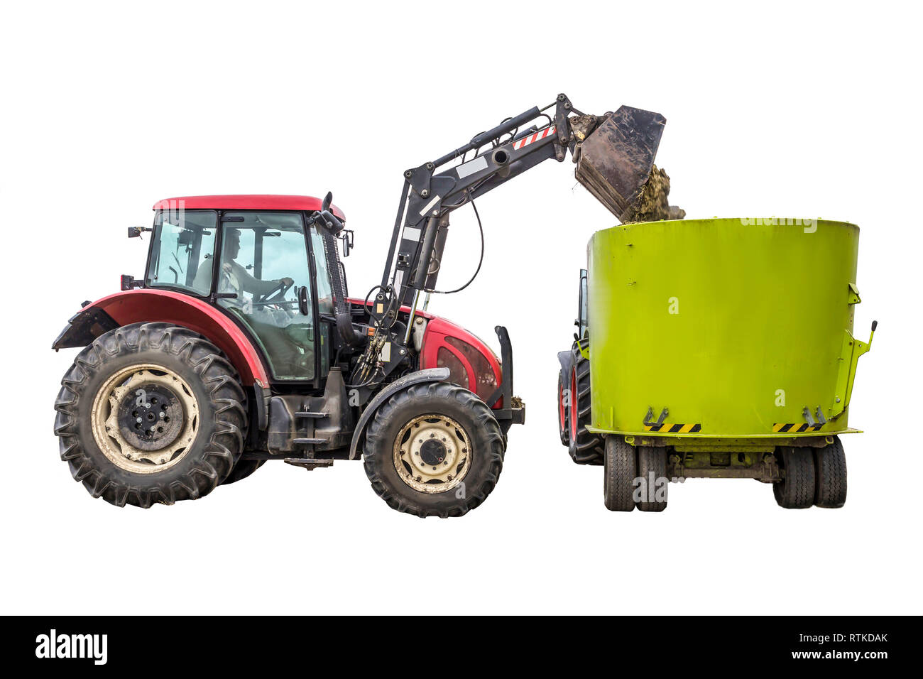 A tractor with a front loader loads silage feed into an animal feed distributor. Isolated photo