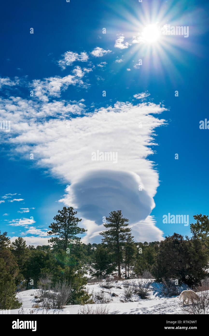 Lenticular cloud formations against cobalt blue sky; central Colorado; USA Stock Photo
