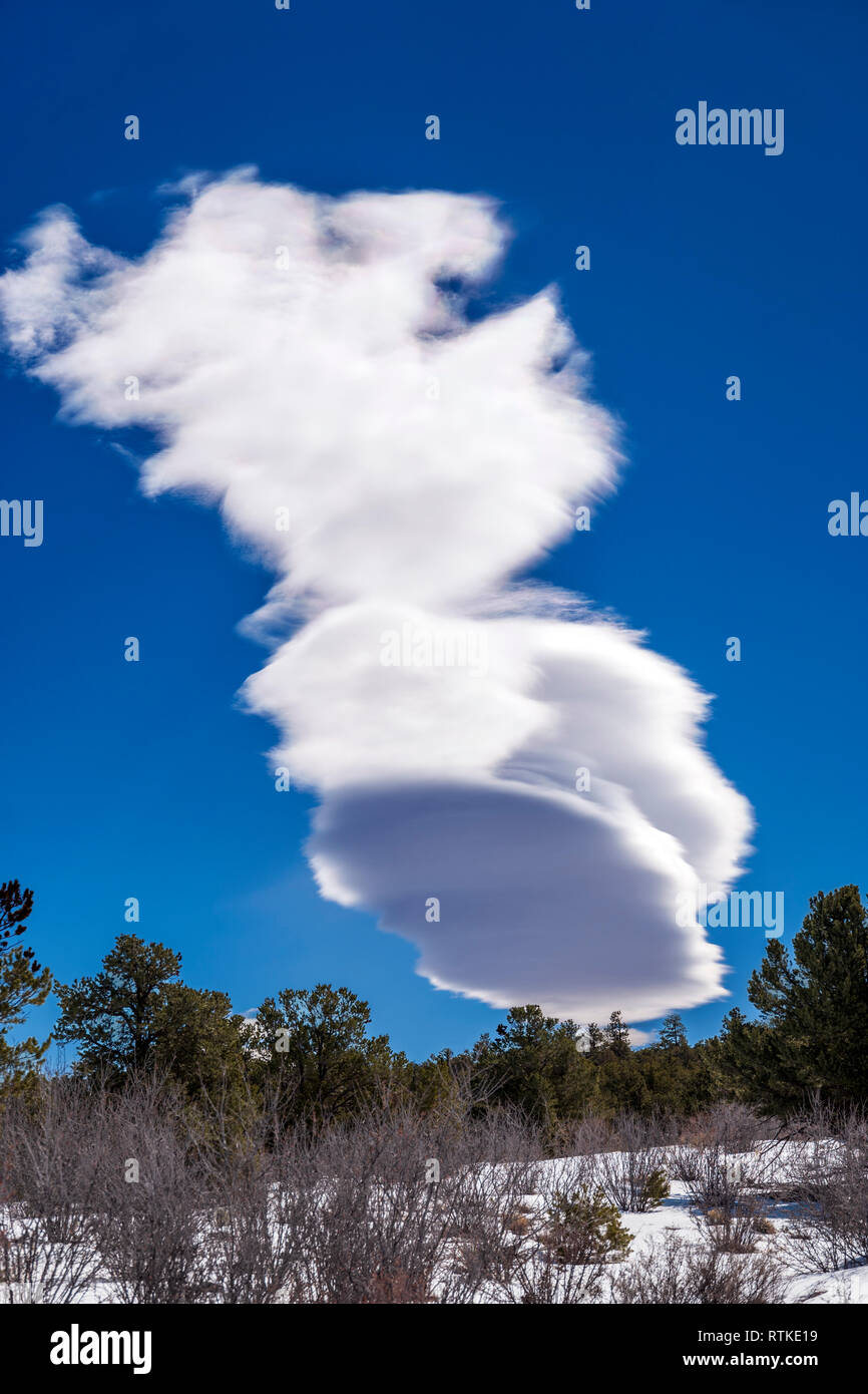 Lenticular cloud formations against cobalt blue sky; central Colorado; USA Stock Photo