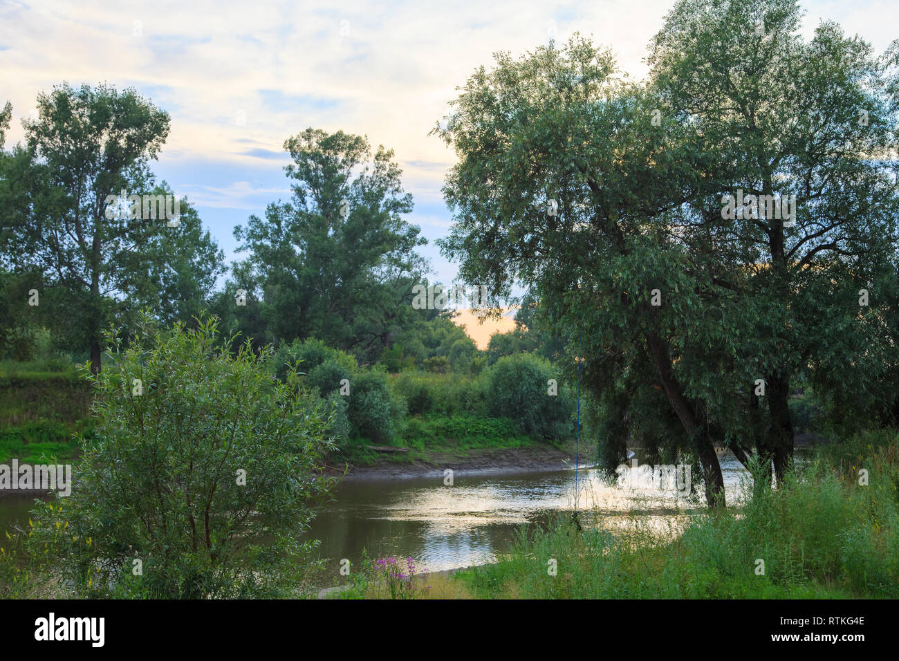 Pond river bend trees hi-res stock photography and images - Alamy