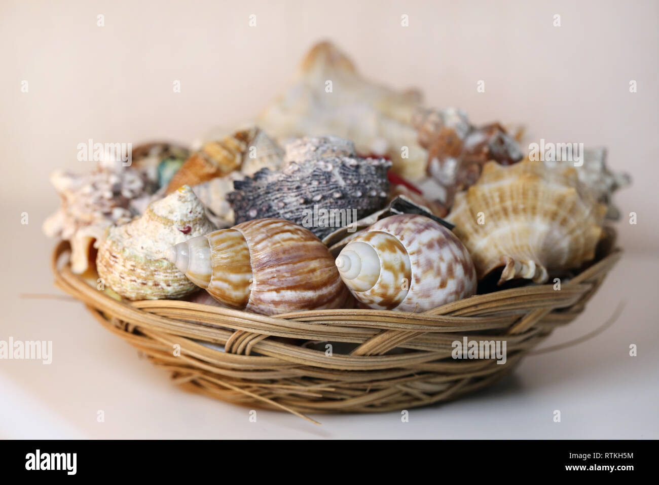 Still life photo of a colorful mixed seashells in a brown basket
