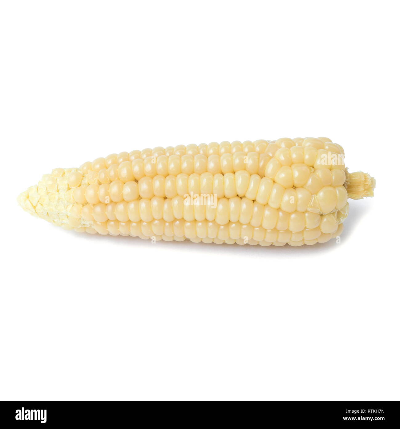 Boiled waxy corn isolated on a white background. Stock Photo