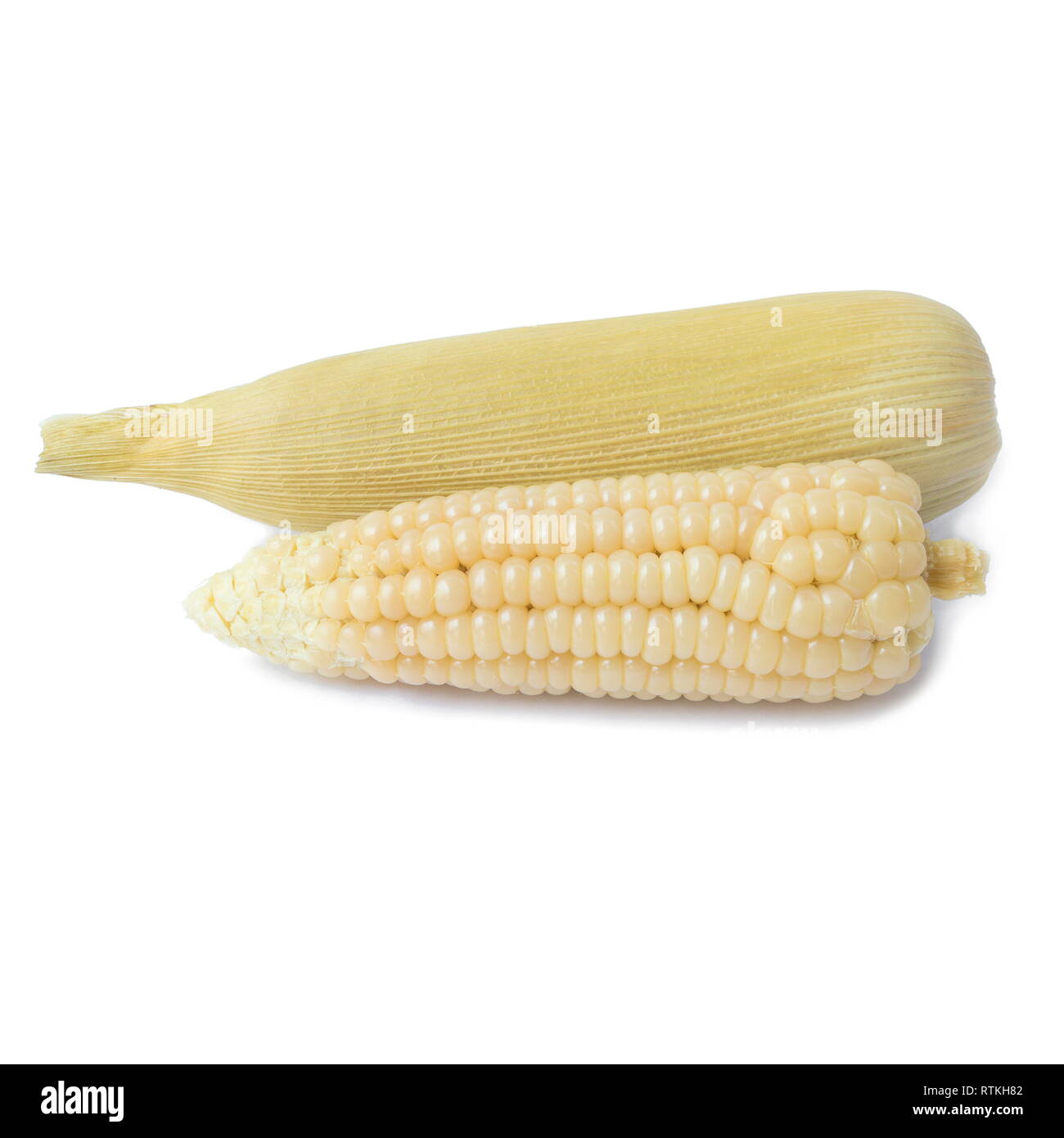 Boiled waxy corn isolated on a white background. Stock Photo