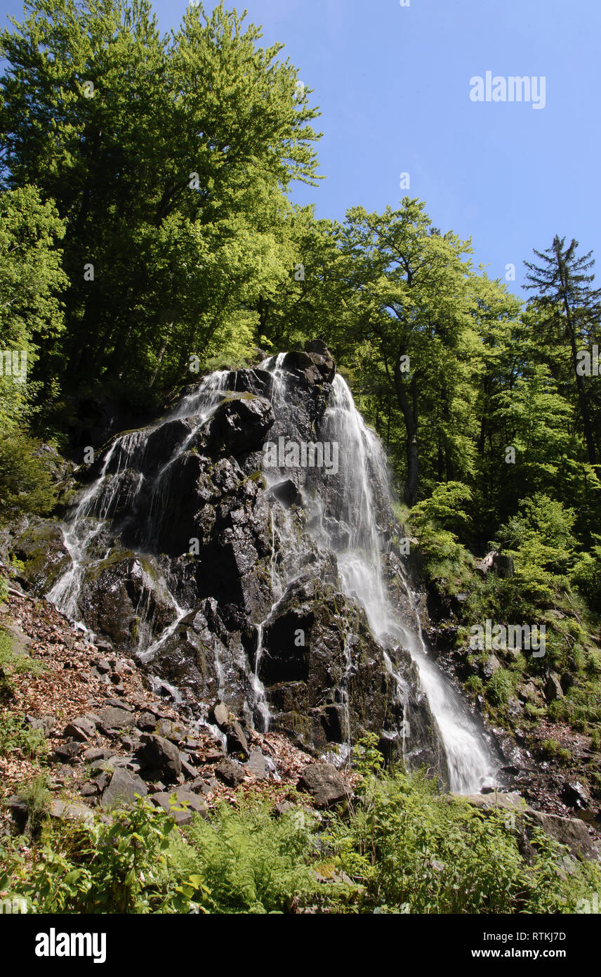 Radau Wasserfall, Harz, Niedersachsen, Deutschland Stock Photo