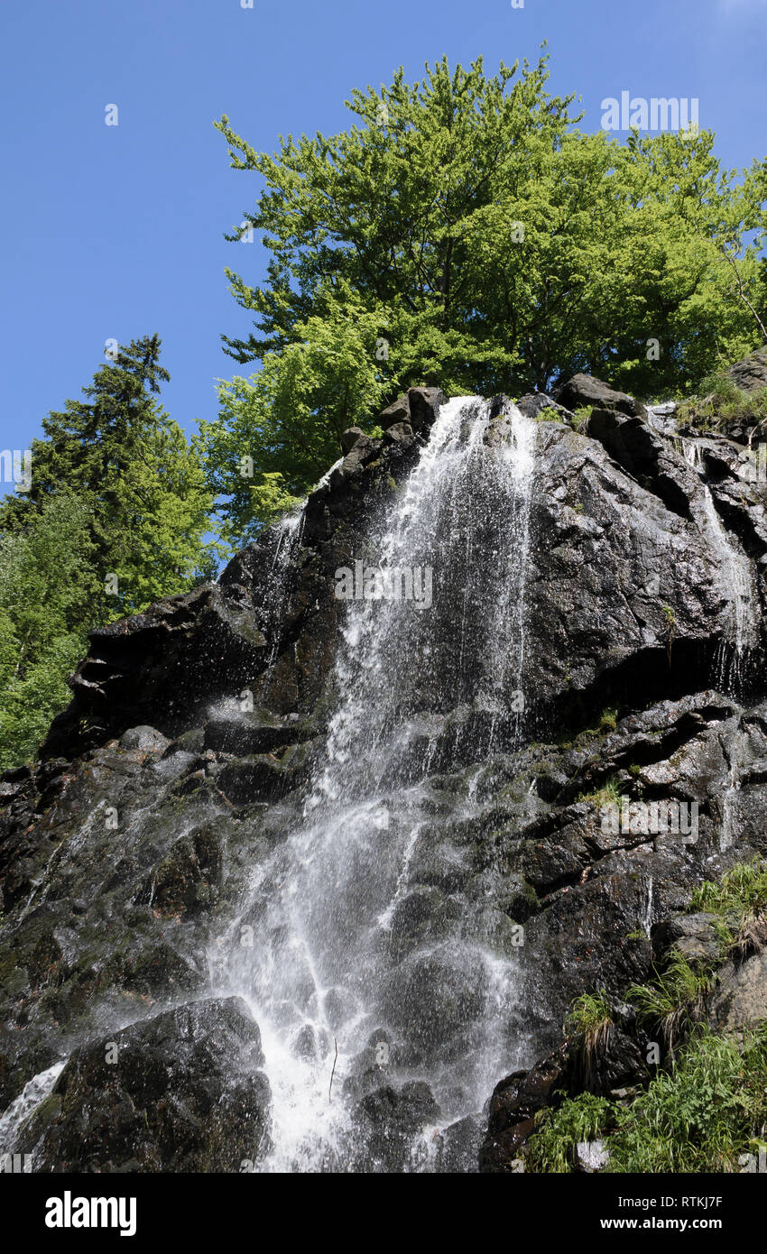 Radau Wasserfall, Harz, Niedersachsen, Deutschland Stock Photo