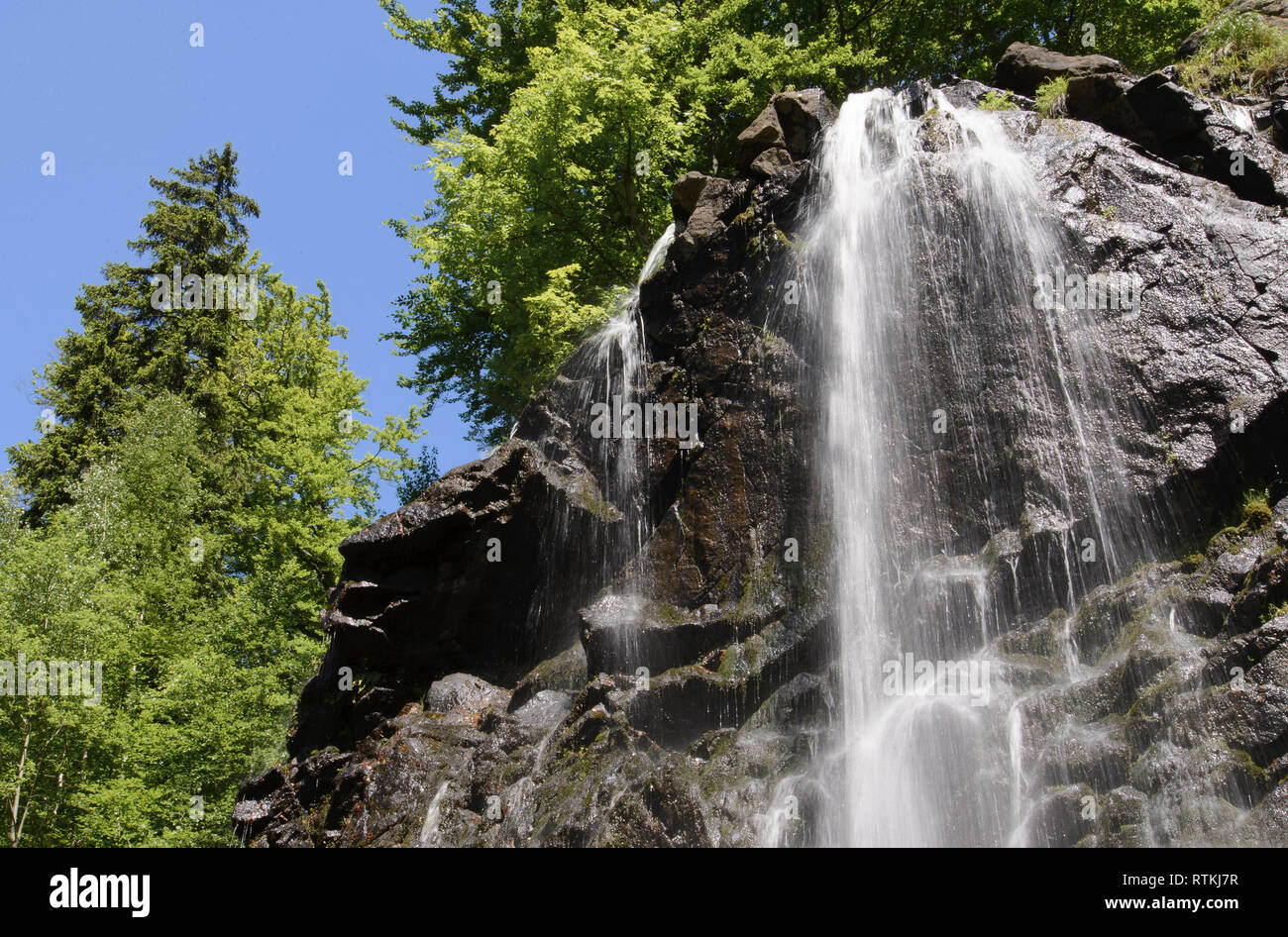 Radau Wasserfall, Harz, Niedersachsen, Deutschland Stock Photo