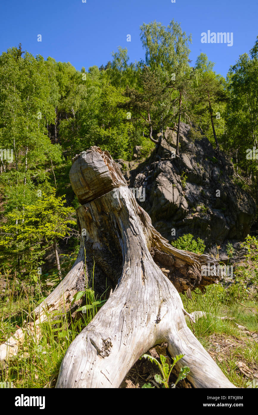 Okertal, Harz, Niedersachsen, Deutschland Stock Photo