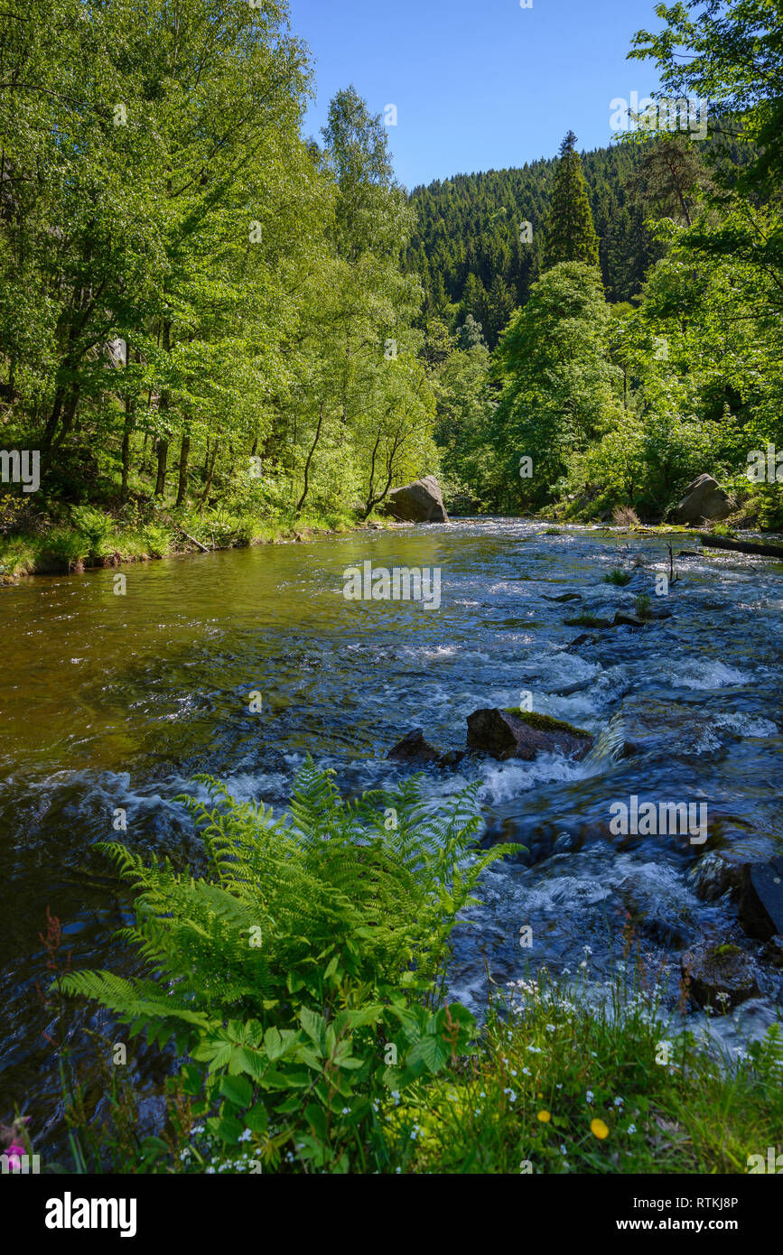 Okertal, Harz, Niedersachsen, Deutschland Stock Photo