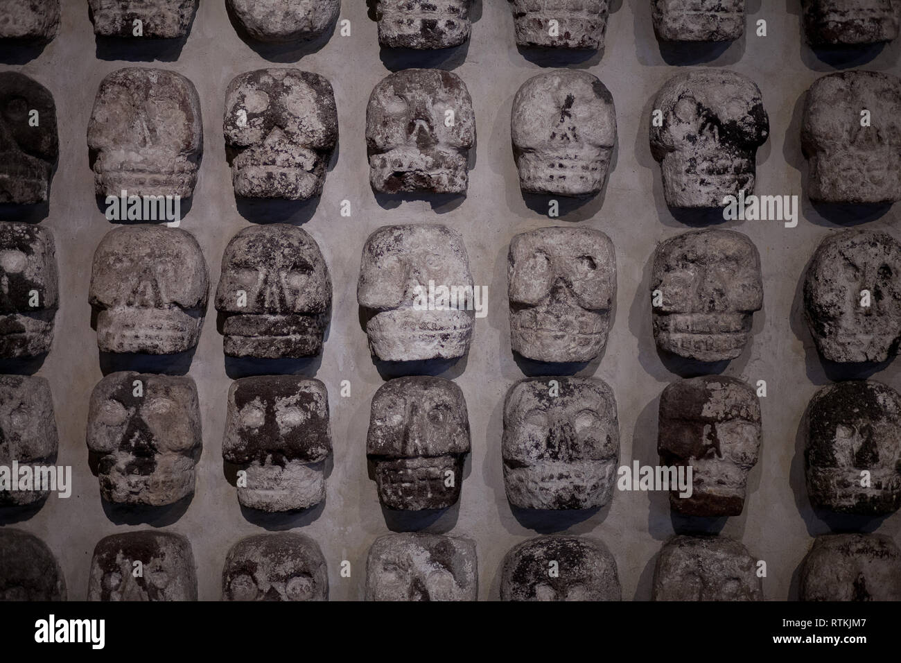 Stone sculptures of skulls as a wall called a Tzompantli located in tenochtitlanan Aztec city buried underneath Mexico City, Mexico Stock Photo