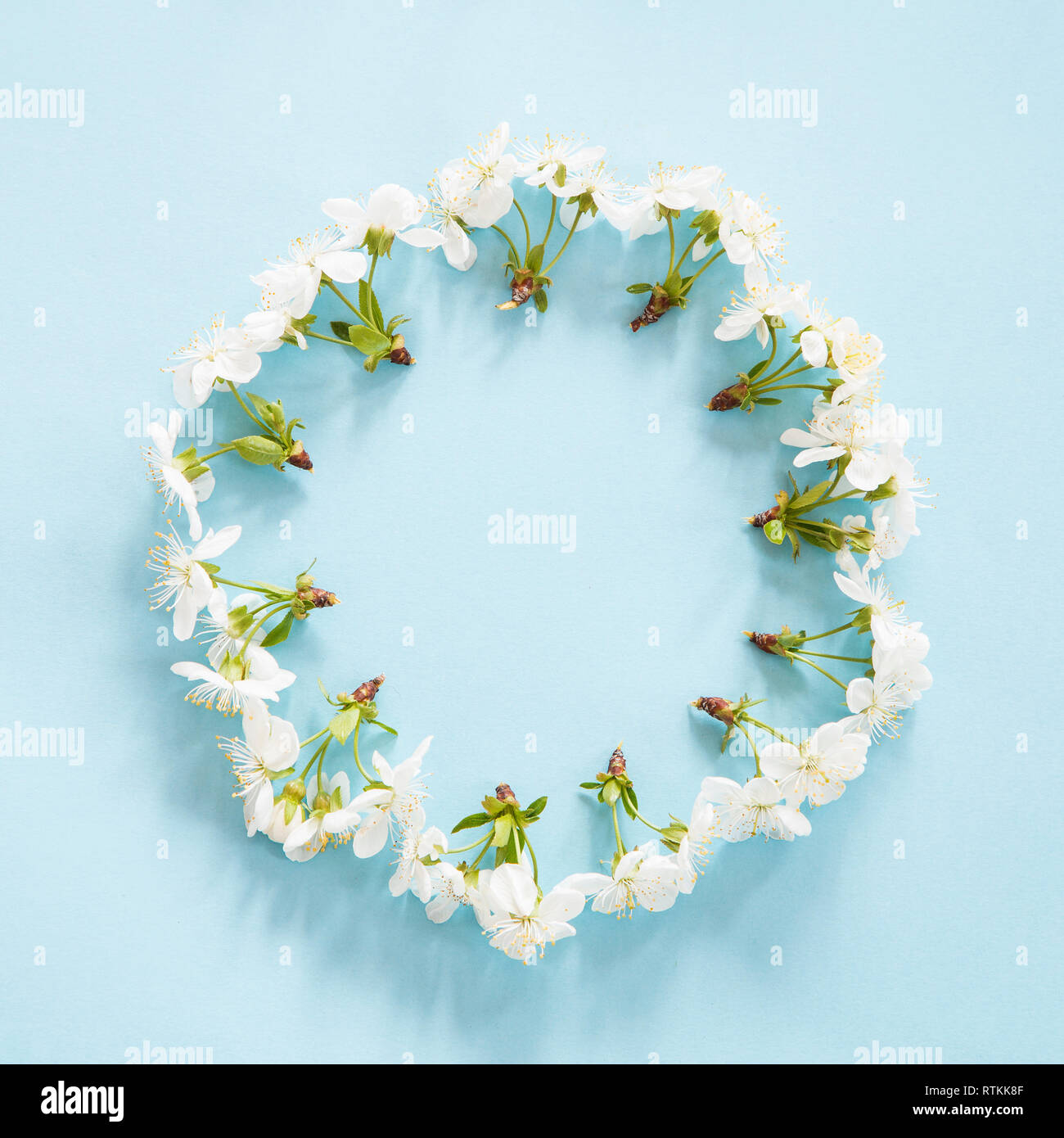 Spring blossom in a circle on blue background Stock Photo