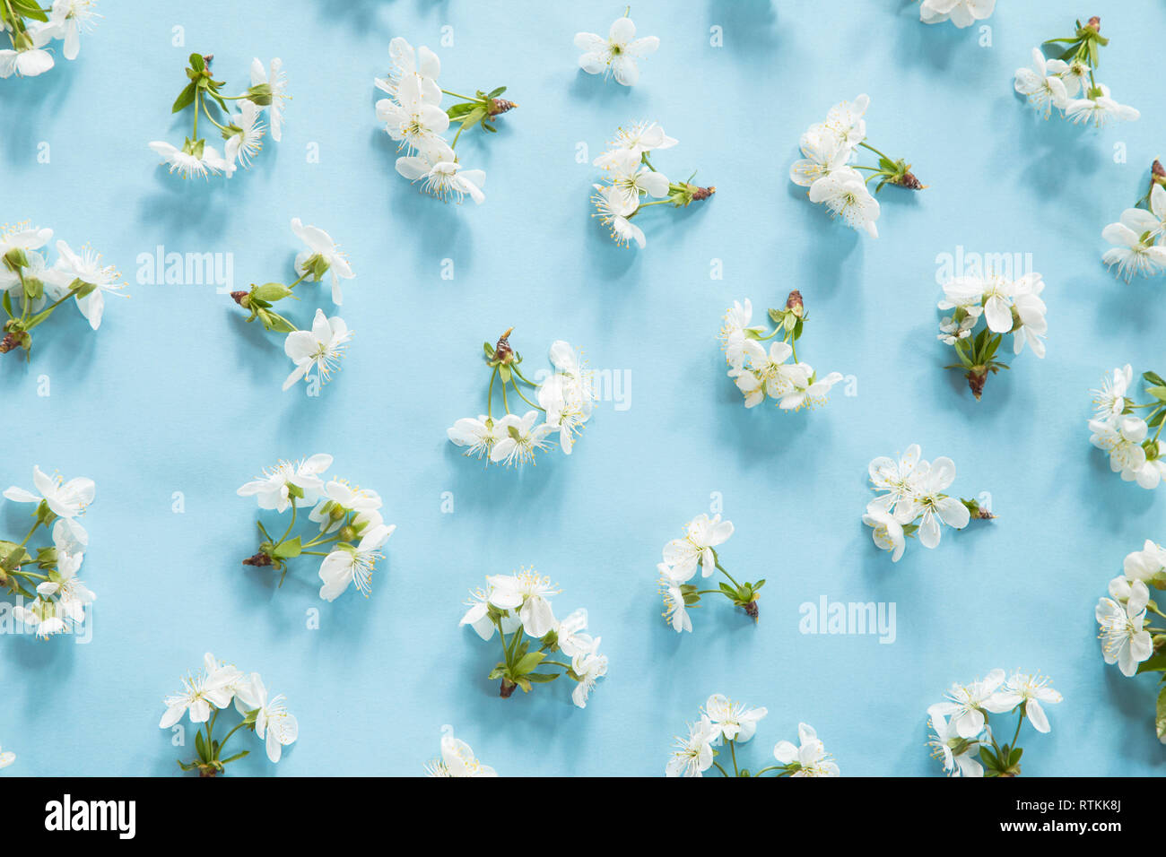 Spring blossom pattern on blue background Stock Photo - Alamy