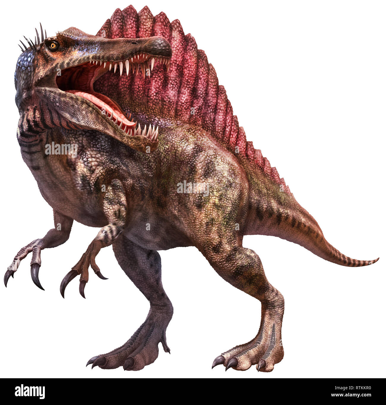 Spinosaurus  3D illustration Stock Photo