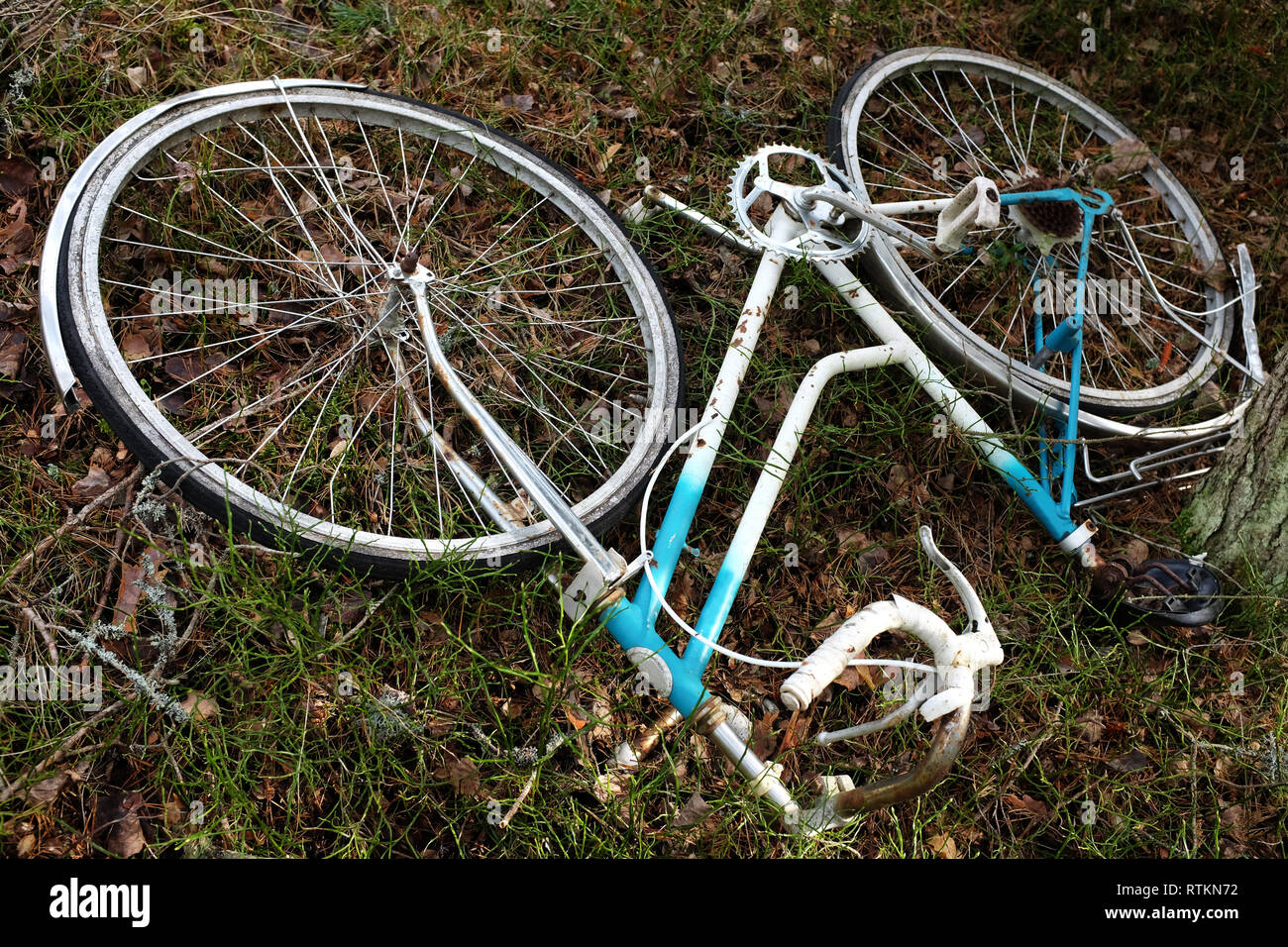 abandoned broken bike in the forest, environmental pollution Stock Photo