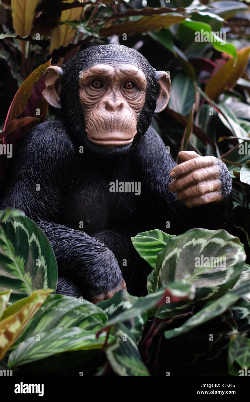 March 2019 - Realistic looking plastic chimpanzee in a store display Stock Photo