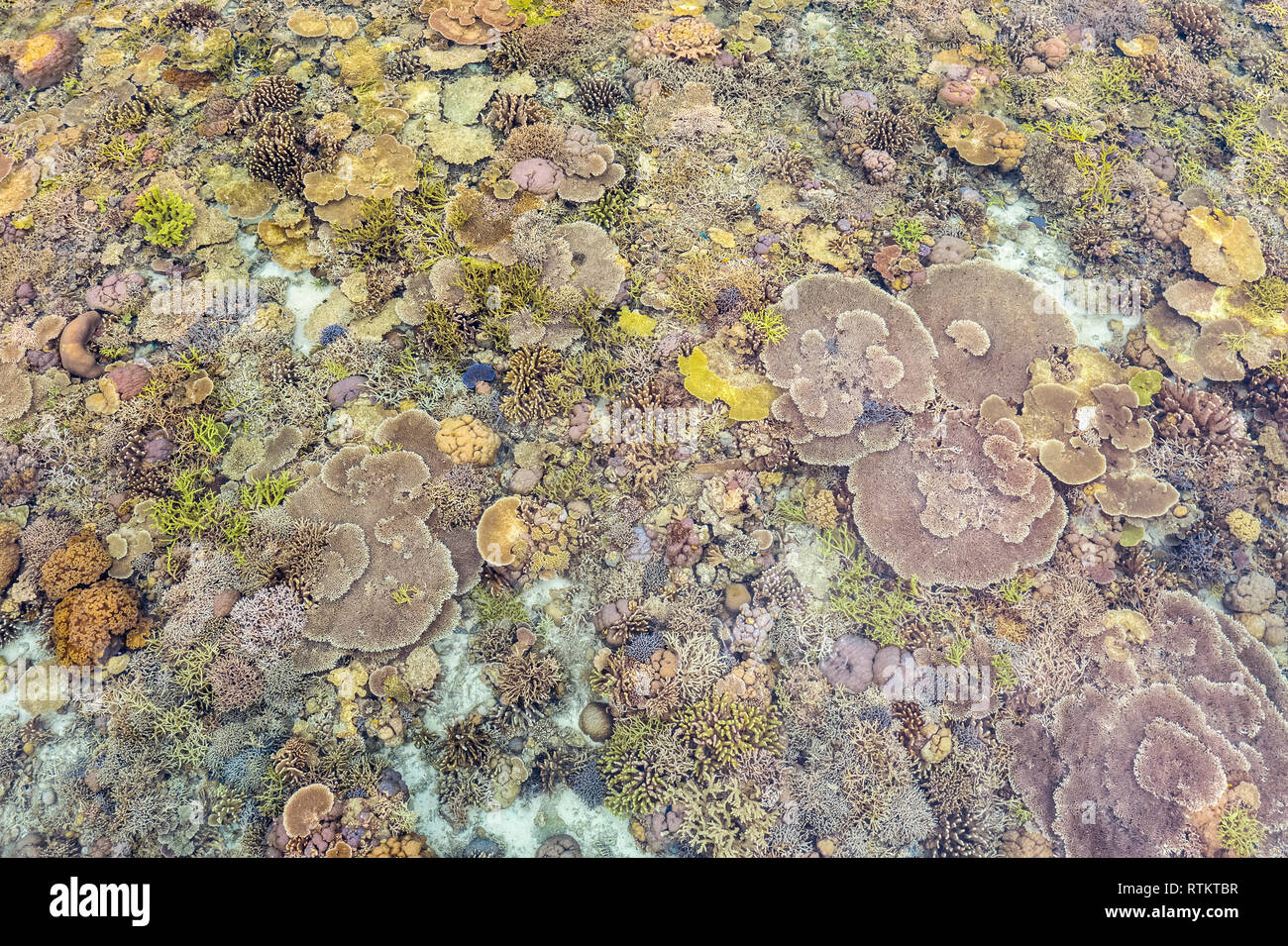 aerial view of Raja Ampat Islands, West Papua, Indonesia, Pacific Ocean Stock Photo