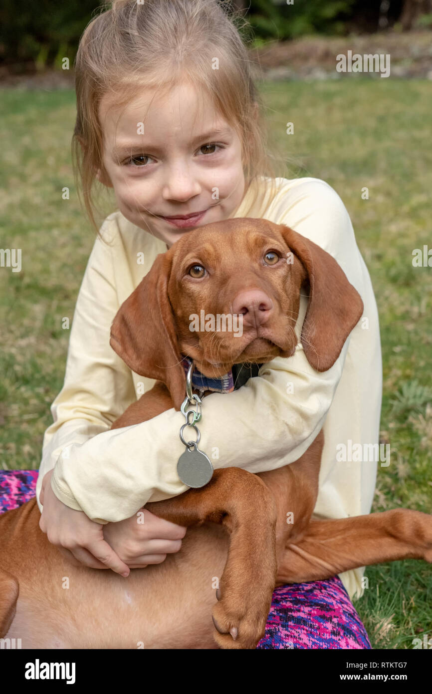 Issaquah, Washington, USA.  Six year old girl hugging her five month old Vizsla puppy 'Pepper'. Stock Photo