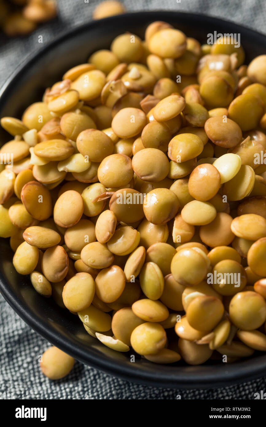 Raw Organic Fresh Lentils in a Bowl Stock Photo - Alamy